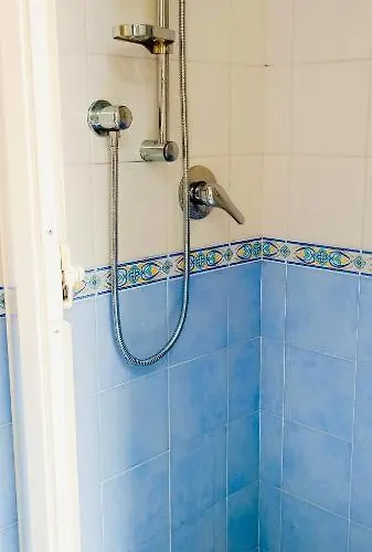 Three Free Trees Ποτσουόλι