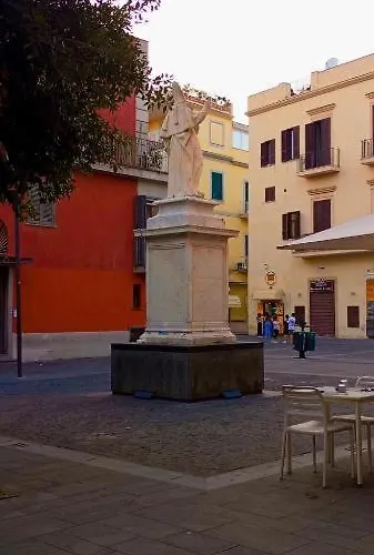 Three Free Trees Ποτσουόλι